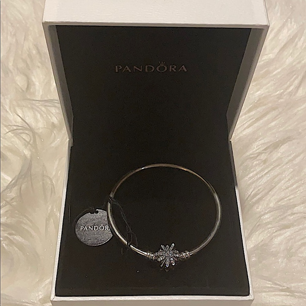 COPY - Pandora charm bracelet